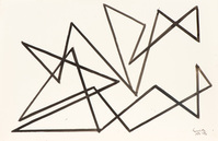 2013.0117Siep vd Berg.jpg; 2013.0117; ;